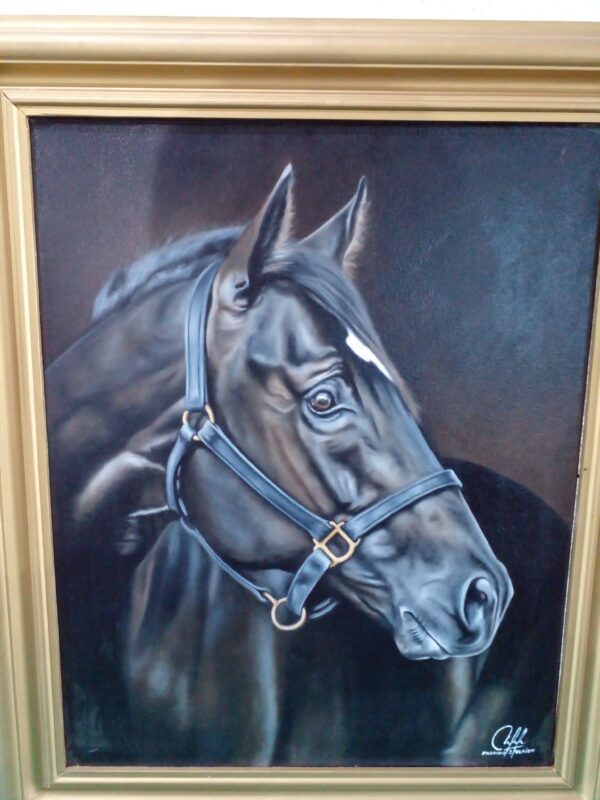 CUADRO AL OLEO PINTOR ENTRERRIANO FABRICIO ULRICH TITULADO EL MORAJU. PRECIO: US$ 250