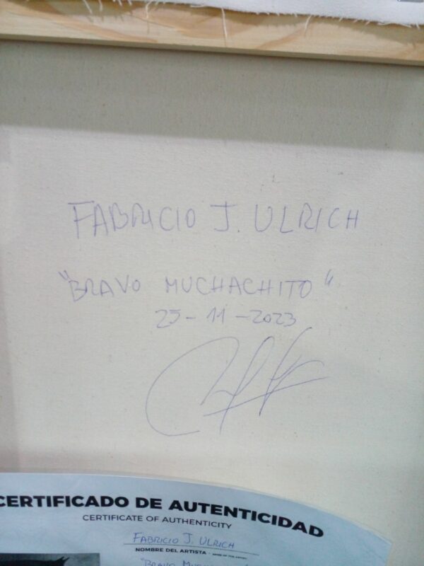 CUADRO AL OLEO PINTOR ENTRERRIANO FABRICIO J. ULRICH - CABALLO BRAVO MUCHACHITO - PRECIO US$ 300 - Image 8