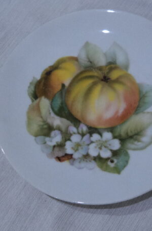 PLATO DECORATIVO ALEMAN BAVARIA TIRSCHENREUTH. COD: 71205