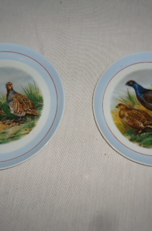 2 PLATOS DECORATIVOS PORCELANA VERBANO ESCENAS AVES DE CAZA. COD: 71101