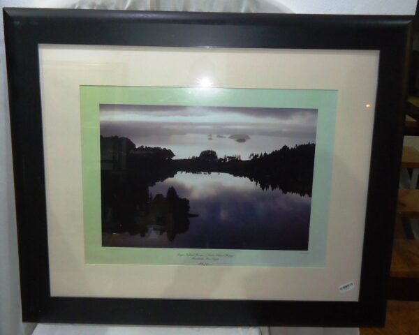 CUADRO IMPORTANTE FOTORAFIA ALDO SESSA LAGO NAHUEL HUAPI. COD: 75603A