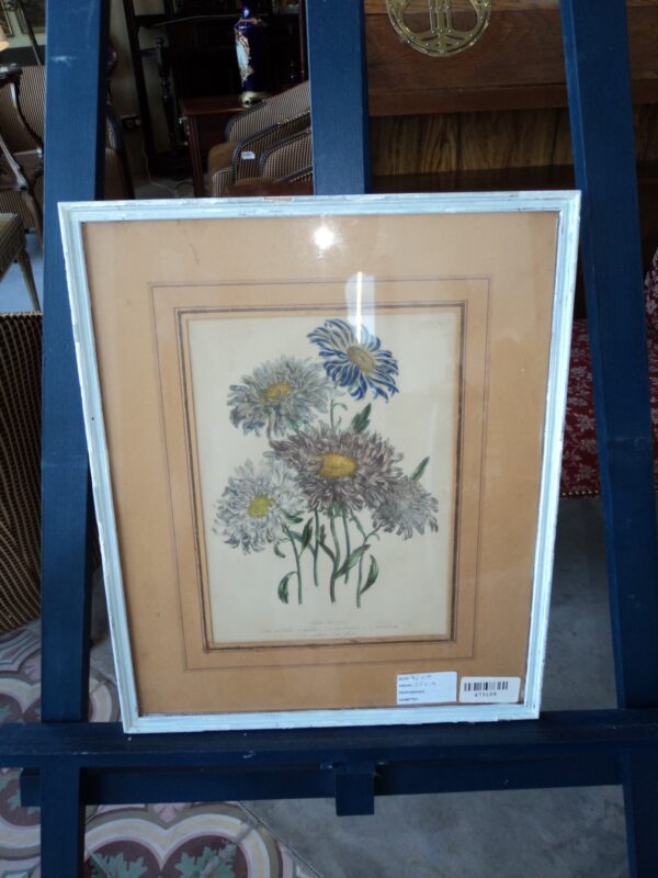 CUADRO CRISANTEMOS, GRABADO ANTIGUO ORIGINAL LONDON 1840. COD: 473188